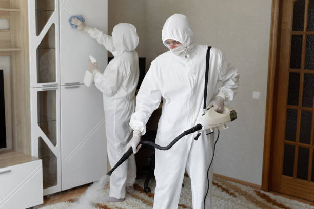 Best Residential Mold Removal  in Ham Lake, MN