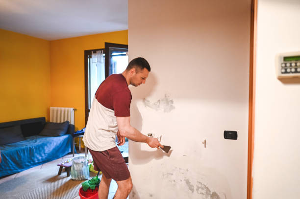 Professional Mold Removal in Ham Lake, MN